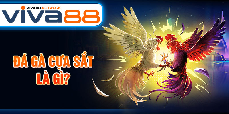 Đá gà cựa sắt là gì? Đá gà cựa sắt là gì?