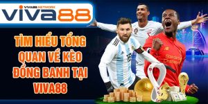 Tìm hiểu tổng quan về kèo đồng banh tại Viva88