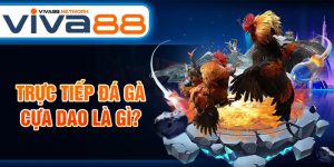 Trực tiếp đá gà cựa dao là gì?