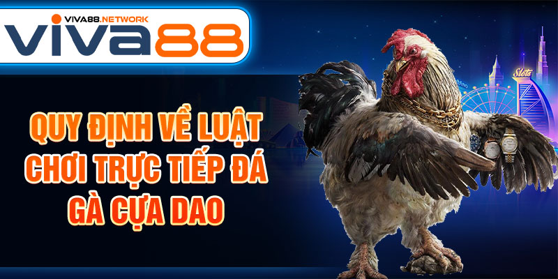 Quy định về luật chơi trực tiếp đá gà cựa dao Quy định về luật chơi trực tiếp đá gà cựa dao
